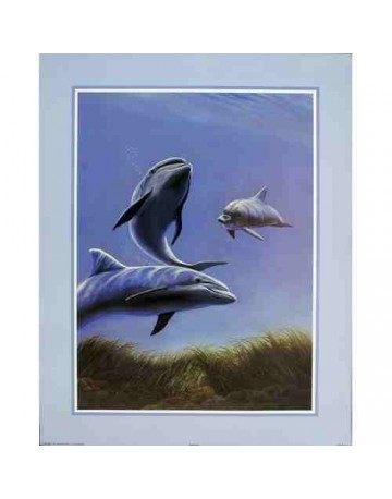 Dauphins