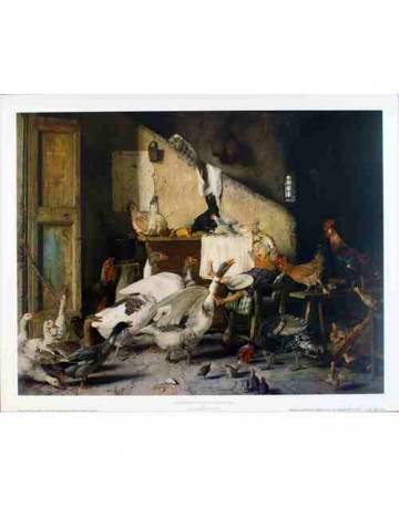 Les volatiles attaquent