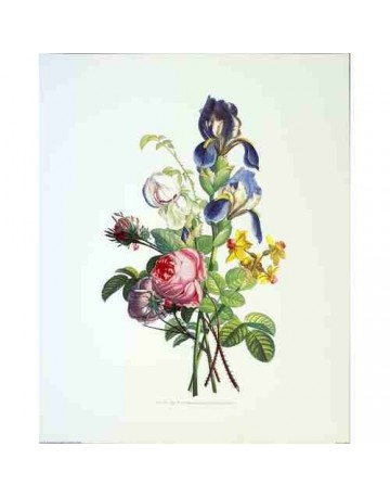Fleurs et papillons